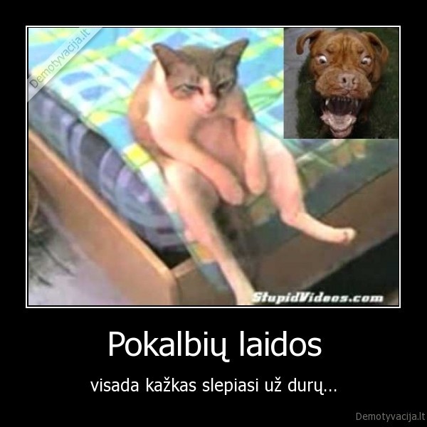 kate,suo,batmanas,pokalbiai