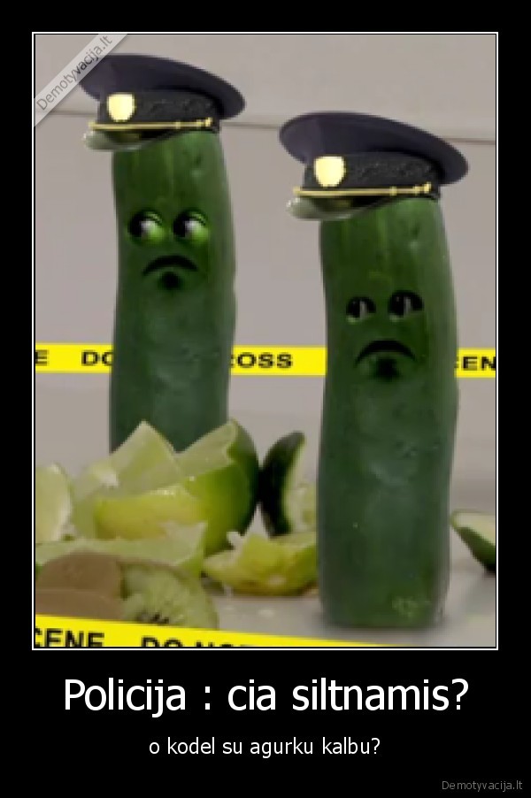 Policija : cia siltnamis?