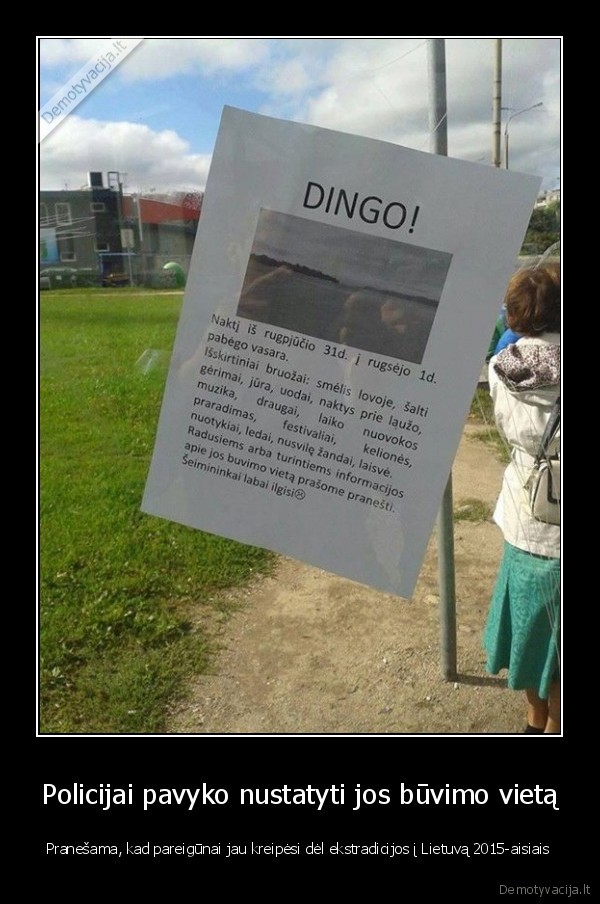 dingo, vasara,vasaros, pabaiga,juokingas, skelbimas