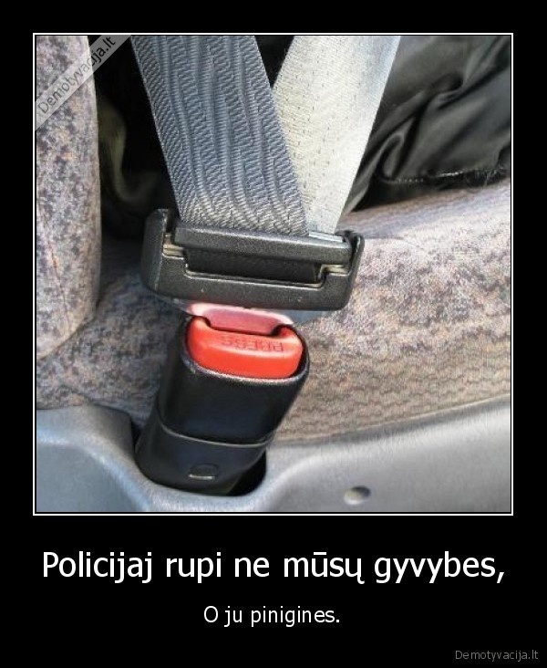 polic, zazhinigas, gyvibes