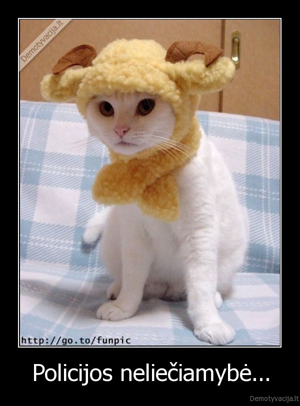 Policijos neliečiamybė...