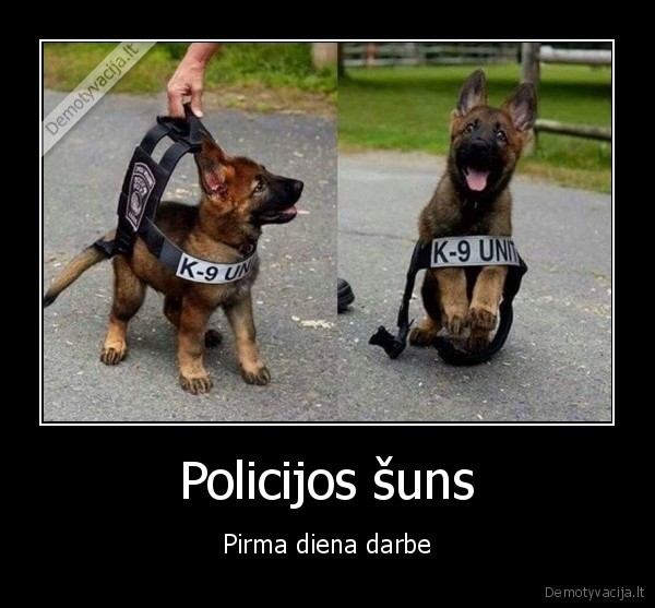sunu, apmokymas,policijos, suo