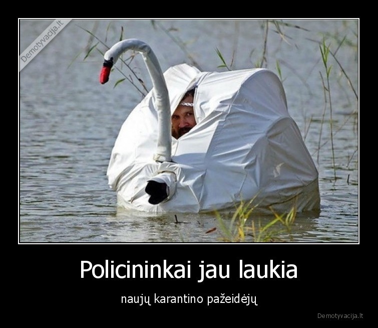 karantinas,policija,pandemija,baudos