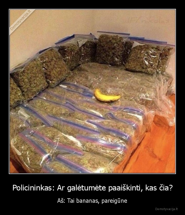 pareigune,bananas,jokiu, pazeidimu,istatymai,dialogai