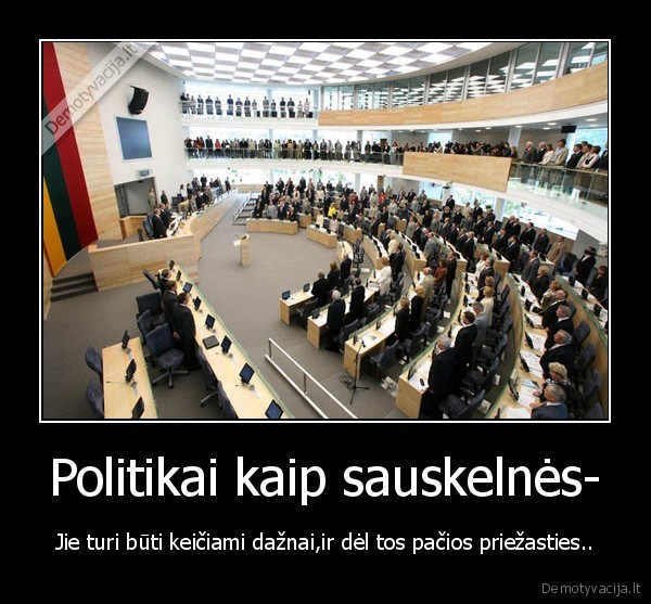 politika