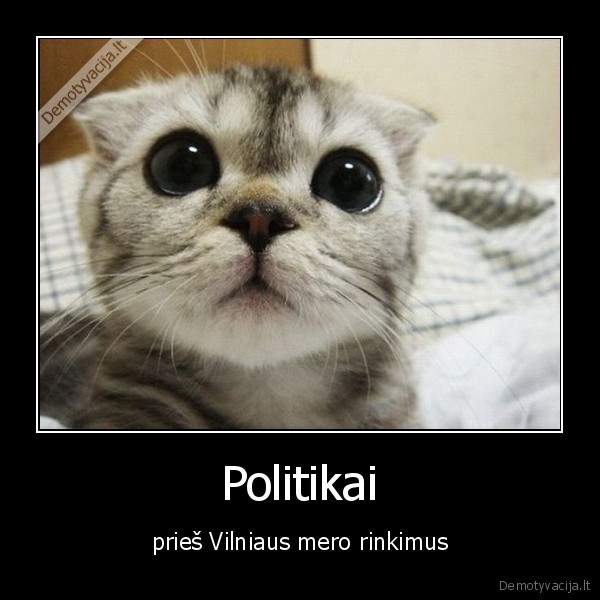 politikai,meras,rinkimai
