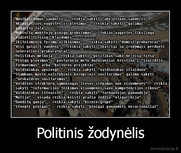 zodynas,politiku, kalbos,tikrosios, reiksmes