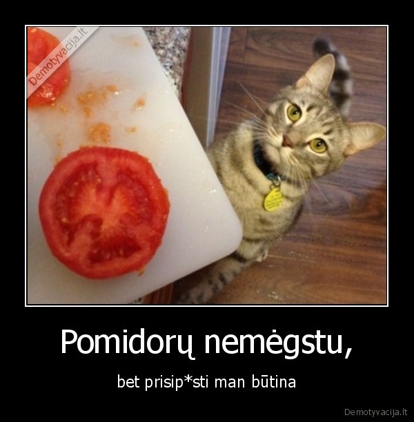 pomidoras,katinas