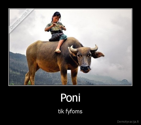poni,bulius