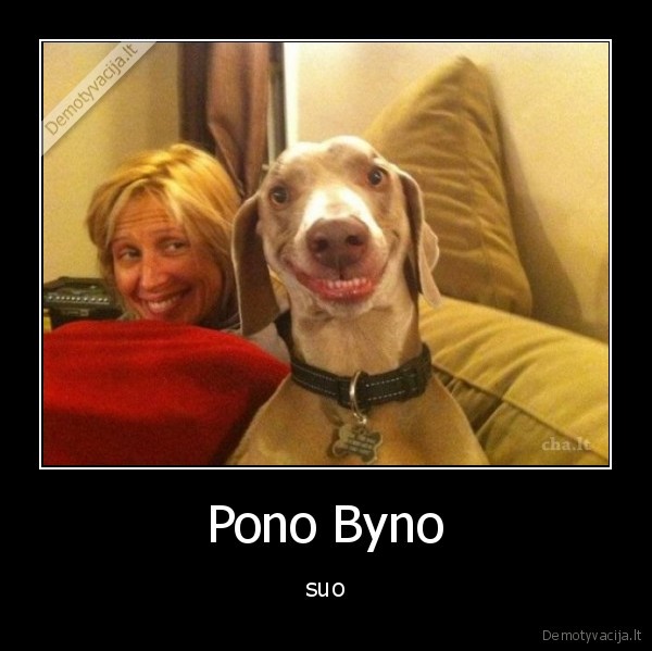 Pono Byno