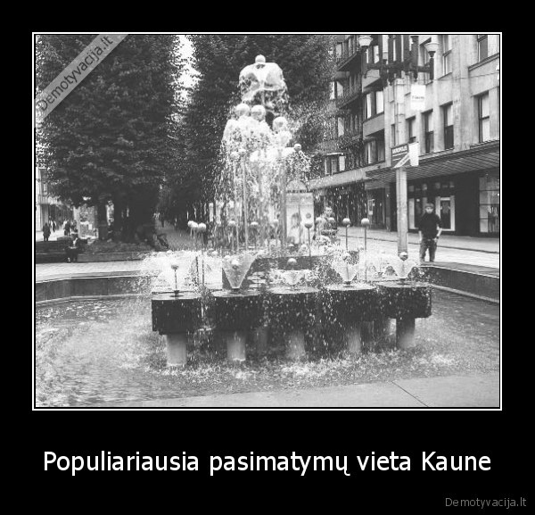 kaunas, pasimatymai, meile, laisves, aleja