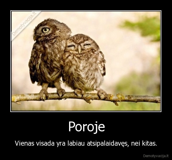 pora,pauksciai,atsiputes