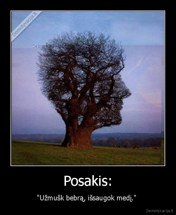 Posakis: