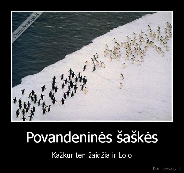 lolo,pingvinai,sportas,saskes