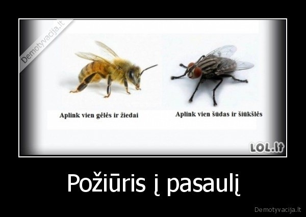 Požiūris į pasaulį