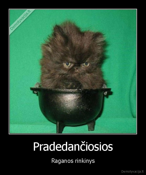 juodas, kaciukas,mielas, kaciukas,katilas