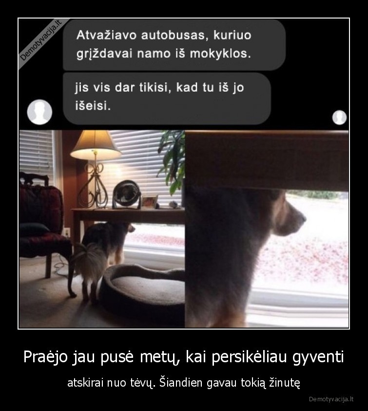 suo,myli,seimininkas