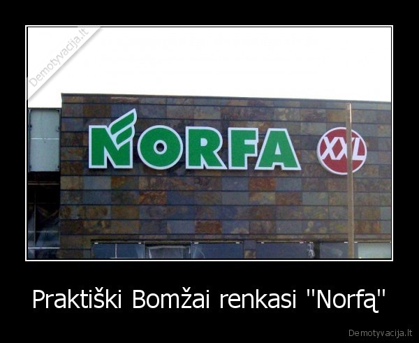 Praktiški Bomžai renkasi &quot;Norfą&quot;