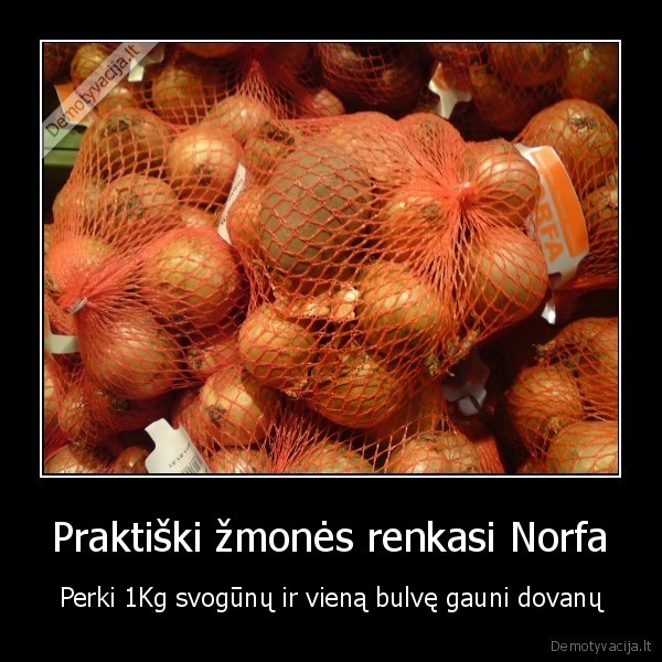 Praktiški žmonės renkasi Norfa