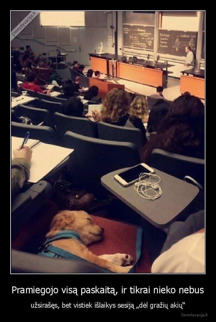 suo,paskaita,miega,grazios,akys