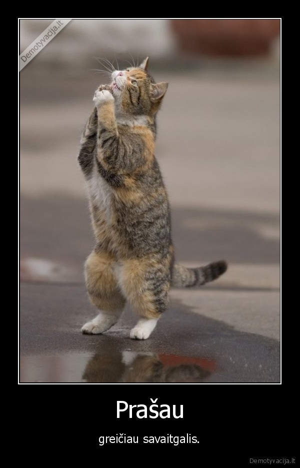 prasau, greiciau, savaitgalio