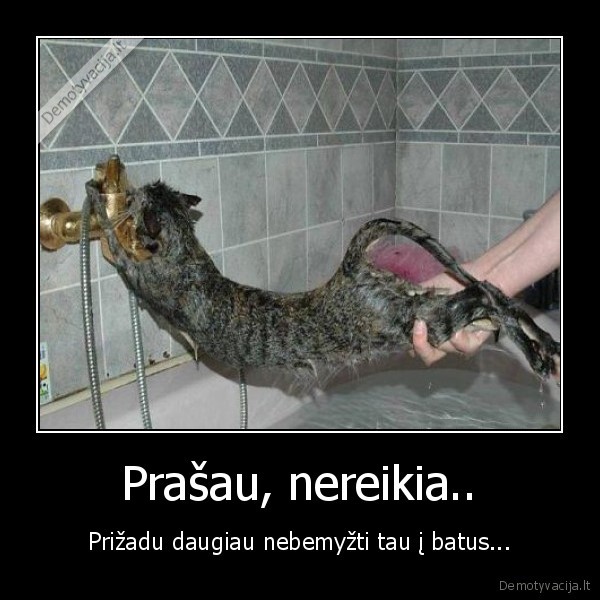 katinukai, eik, is, cia, eik, is, cia