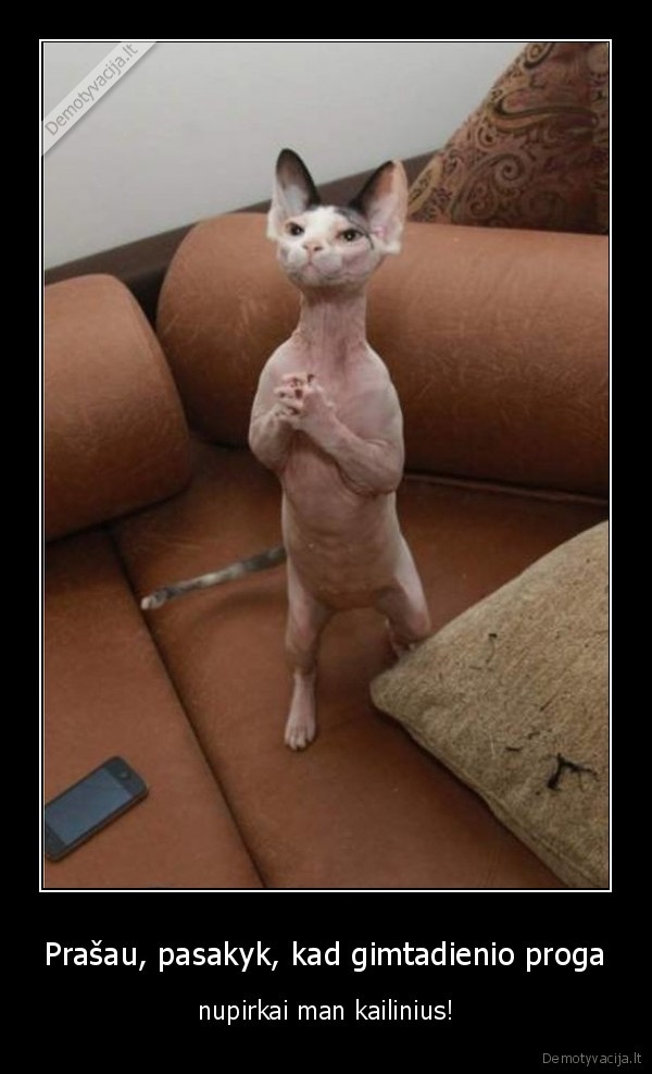 kate, be, kailio,bekaile, kate,sfinksas