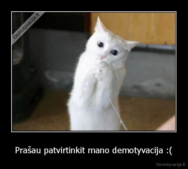 del,visko,kaltas,kubilius,suka