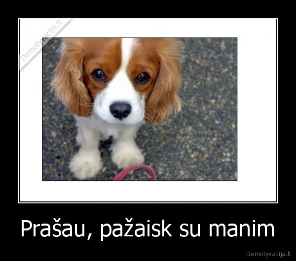 Prašau, pažaisk su manim