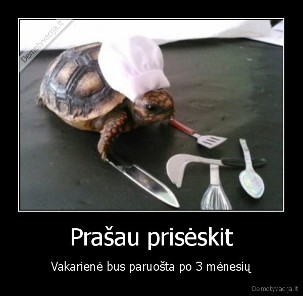 vezlys, virejas,kulinarija