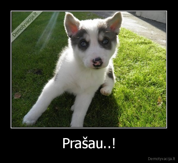Prašau..!