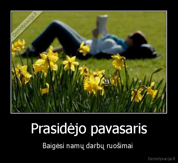 nuo, balandzio, neinam, visi, i, sule