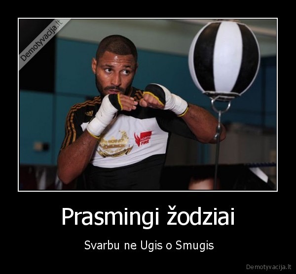 Prasmingi žodziai