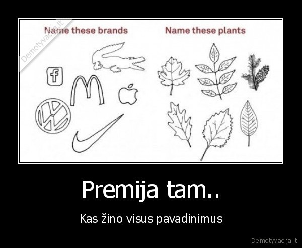 logo,lapai,pavadinimas,vardas