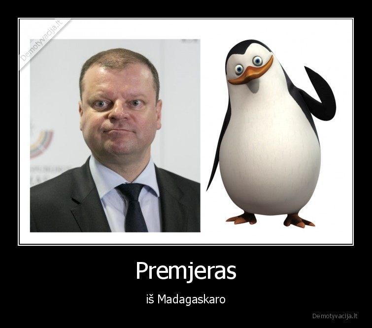 skvernelis,politika,valtieciai,premjeras,rinkimai,seimas,vyriausybe