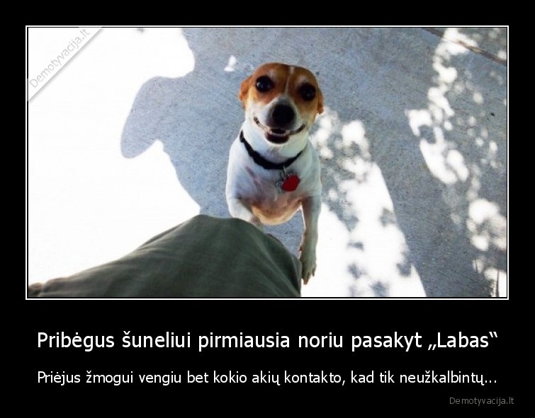 asocialus,socialinis, gyvenimas