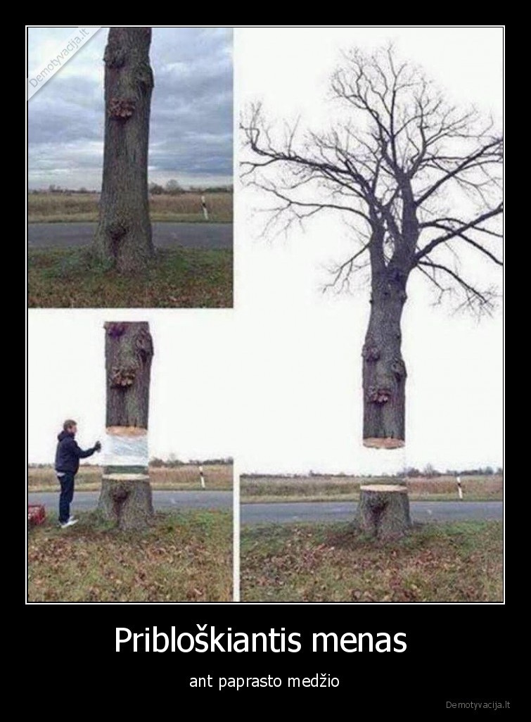 medis,menas,iliuzija