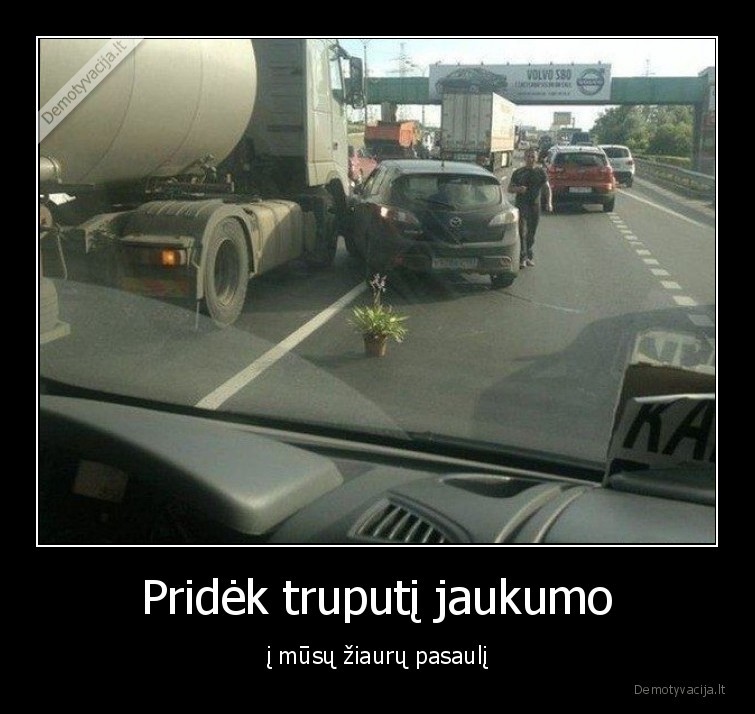 jaukumas,vazonas,geles,eismo, ivykis