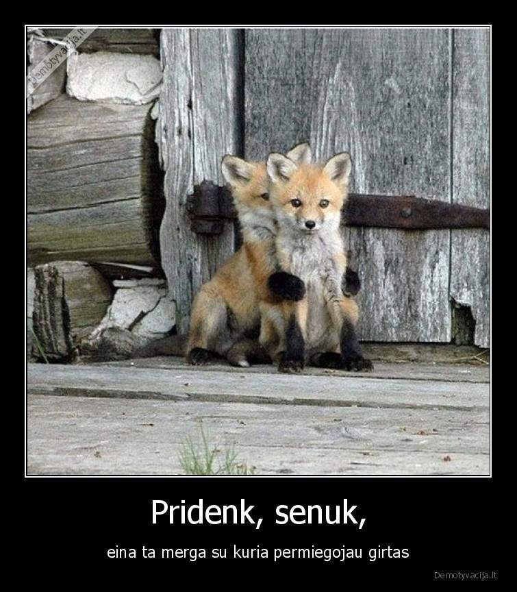 girtas,permiegoti,mergina,pridengti,draugas