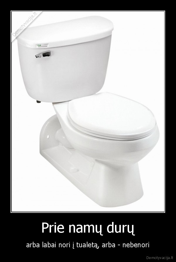 ljabjukazzz,noriukaka