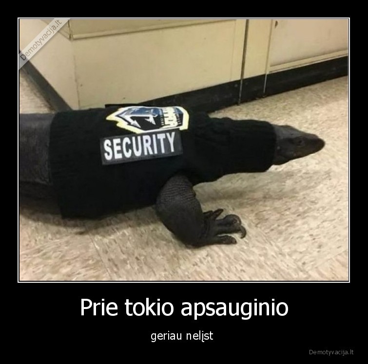 apsauginis,iguana,juodas,kilimas