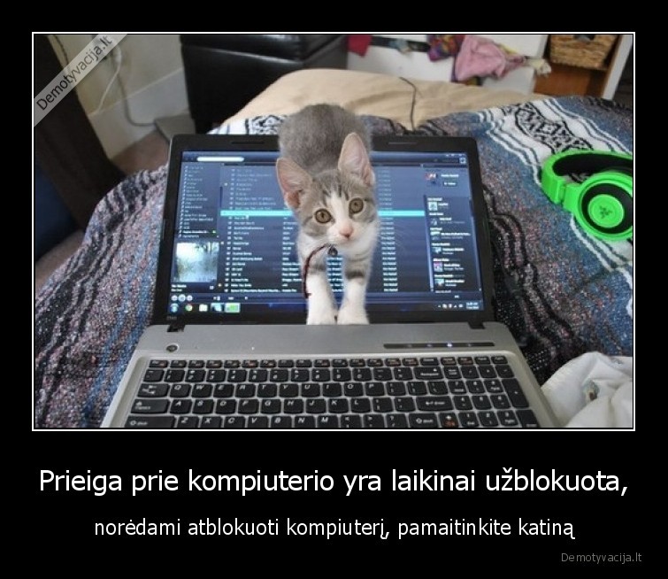 katinas,kompiuteris,maistas,praso,blokuoja
