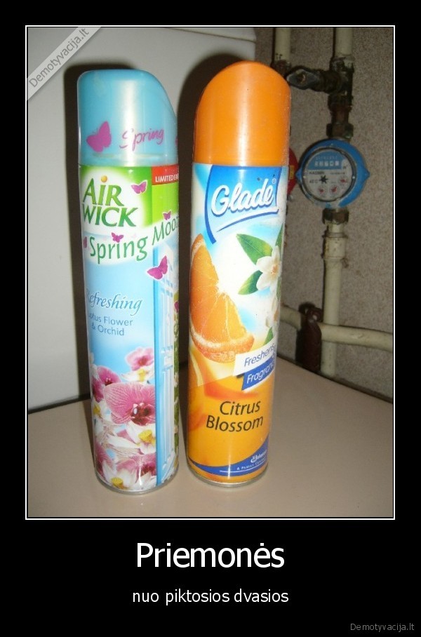 priemone,ambipur,piktoji, dvasia,kvapas,smirda