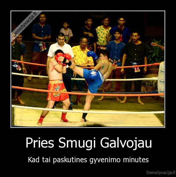 Pries Smugi Galvojau