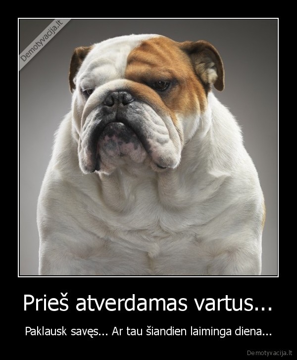 Prieš atverdamas vartus...