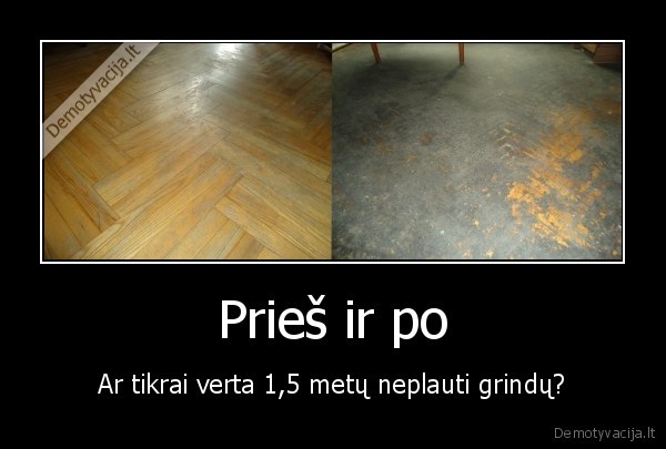 grindys,namai,purvas