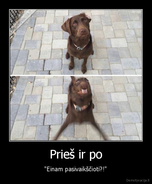 pasivaiksciojimas, su, suniu,laimingas, suo