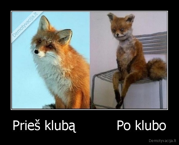 Prieš klubą          Po klubo