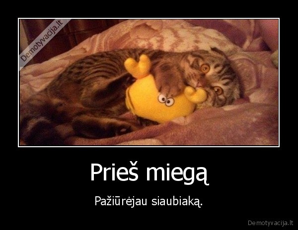 miegas,siaubo, filmas,naktis