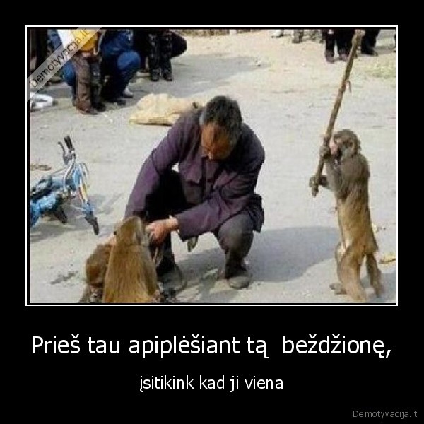 nesirauk, and, bezdziones